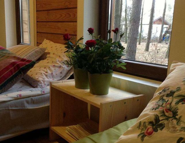 Hotel Przystanek Zofiowka Tuszyn Esterno foto